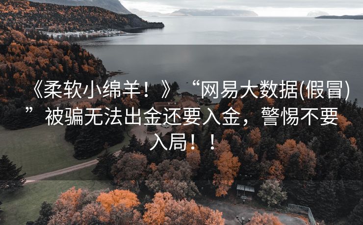 《柔软小绵羊！》“网易大数据(假冒)”被骗无法出金还要入金，警惕不要入局！！