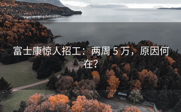 富士康惊人招工：两周 5 万，原因何在？