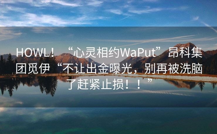 HOWL！“心灵相约WaPut”昂科集团觅伊“不让出金曝光，别再被洗脑了赶紧止损！！”