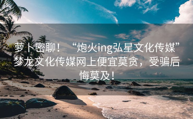 萝卜密聊！“炮火ing弘星文化传媒”梦龙文化传媒网上便宜莫贪，受骗后悔莫及！