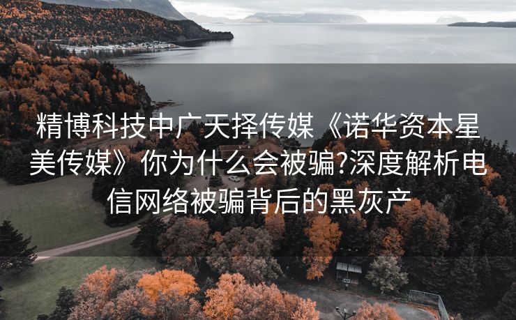 精博科技中广天择传媒《诺华资本星美传媒》你为什么会被骗?深度解析电信网络被骗背后的黑灰产