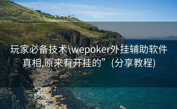 玩家必备技术\wepoker外挂辅助软件真相,原来有开挂的”(分享教程)