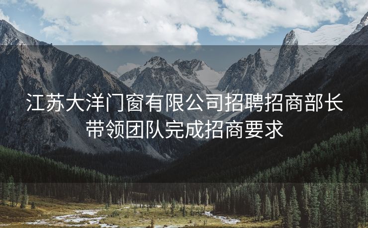 江苏大洋门窗有限公司招聘招商部长带领团队完成招商要求