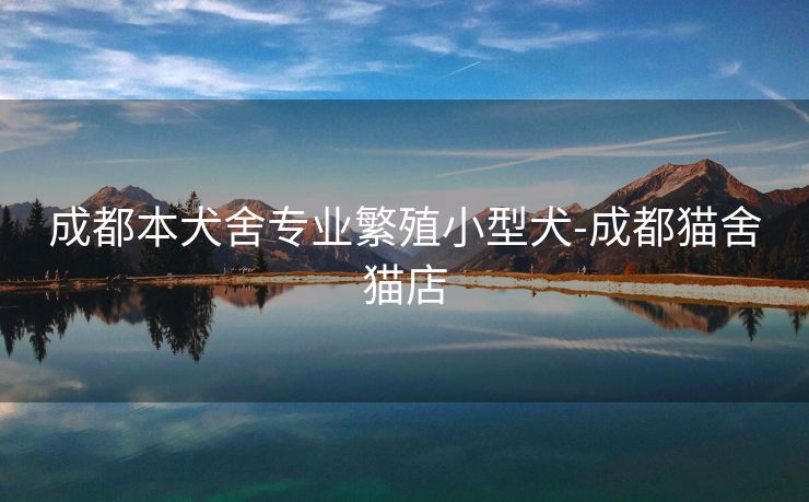 成都本犬舍专业繁殖小型犬-成都猫舍猫店