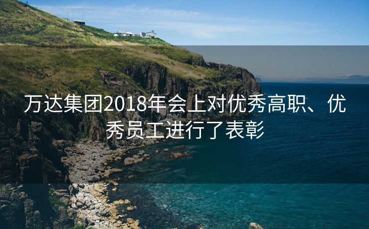 万达集团2018年会上对优秀高职、优秀员工进行了表彰