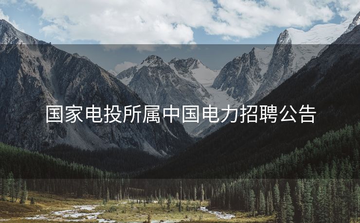 国家电投所属中国电力招聘公告