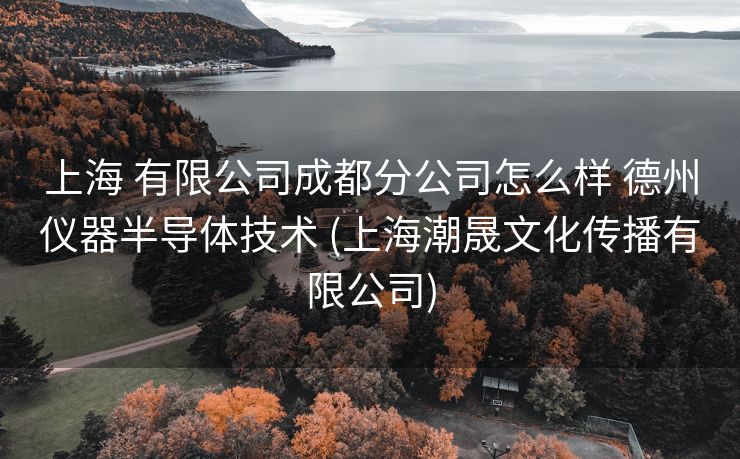 上海 有限公司成都分公司怎么样 德州仪器半导体技术 (上海潮晟文化传播有限公司)
