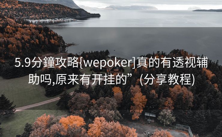 5.9分鐘攻略{wepoker]真的有透视辅助吗,原来有开挂的”(分享教程)