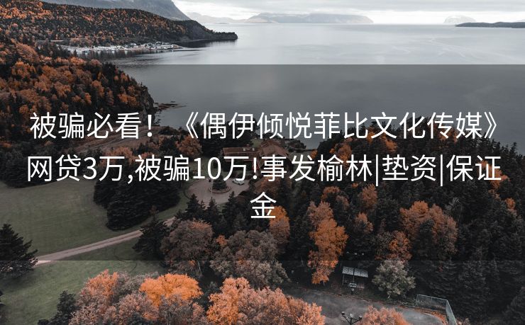 被骗必看！《偶伊倾悦菲比文化传媒》网贷3万,被骗10万!事发榆林|垫资|保证金