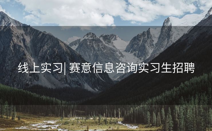 线上实习| 赛意信息咨询实习生招聘