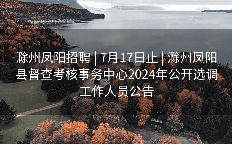 滁州凤阳招聘 | 7月17日止 | 滁州凤阳县督查考核事务中心2024年公开选调工作人员公告