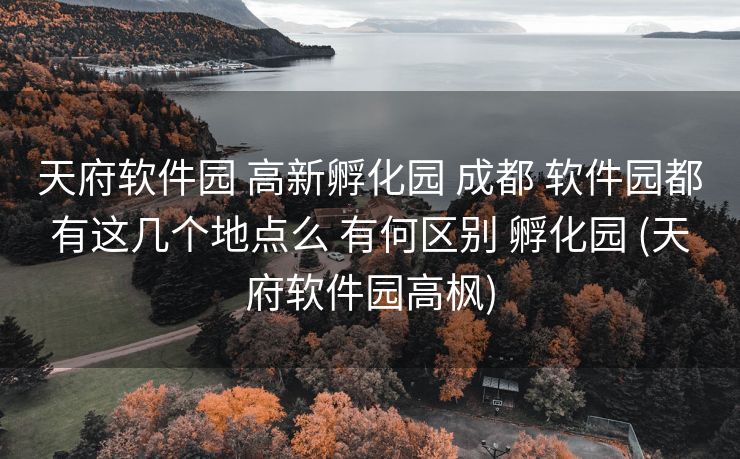 天府软件园 高新孵化园 成都 软件园都有这几个地点么 有何区别 孵化园 (天府软件园高枫)