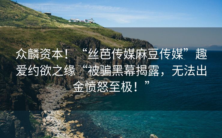 众麟资本！“丝芭传媒麻豆传媒”趣爱约欲之缘“被骗黑幕揭露，无法出金愤怒至极！”