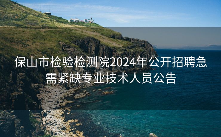 保山市检验检测院2024年公开招聘急需紧缺专业技术人员公告