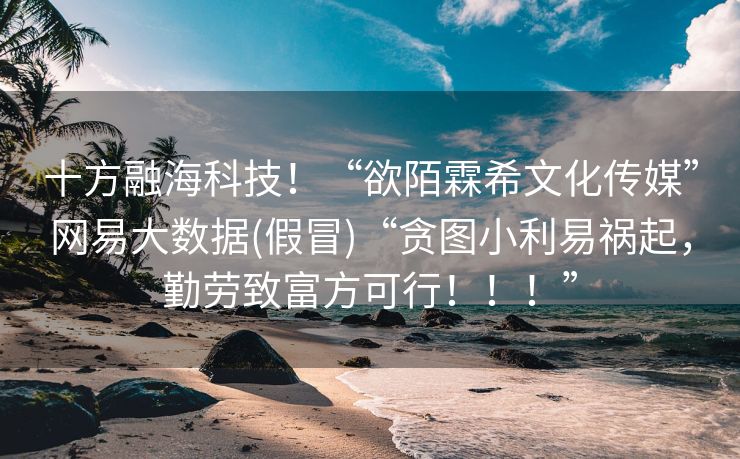 十方融海科技！“欲陌霖希文化传媒”网易大数据(假冒)“贪图小利易祸起，勤劳致富方可行！！！”