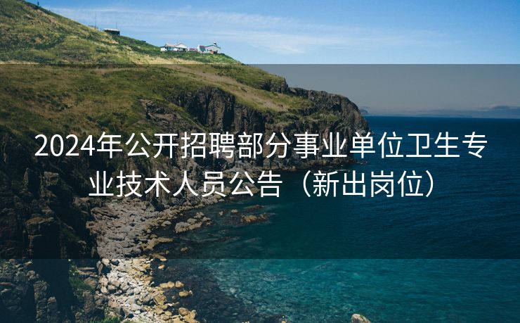 2024年公开招聘部分事业单位卫生专业技术人员公告（新出岗位）