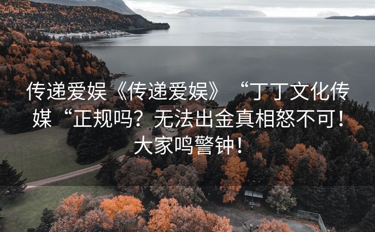 传递爱娱《传递爱娱》“丁丁文化传媒“正规吗？无法出金真相怒不可！大家鸣警钟！