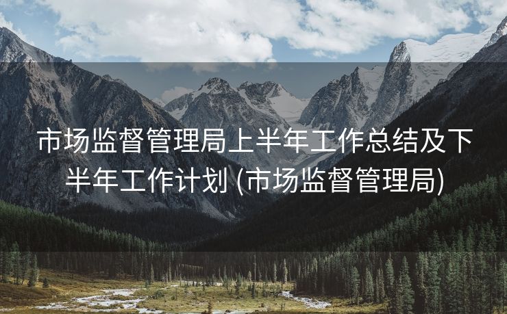 市场监督管理局上半年工作总结及下半年工作计划 (市场监督管理局)