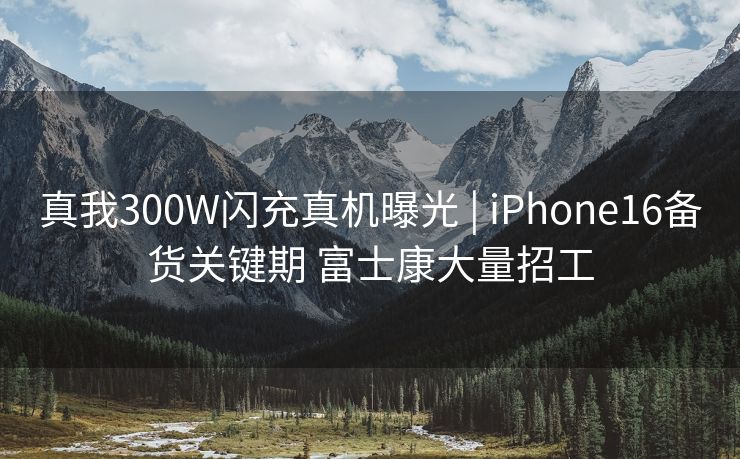 真我300W闪充真机曝光 | iPhone16备货关键期 富士康大量招工