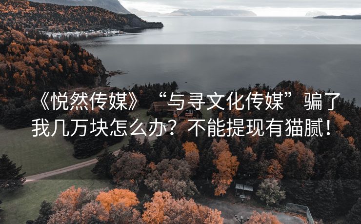 《悦然传媒》“与寻文化传媒”骗了我几万块怎么办？不能提现有猫腻！