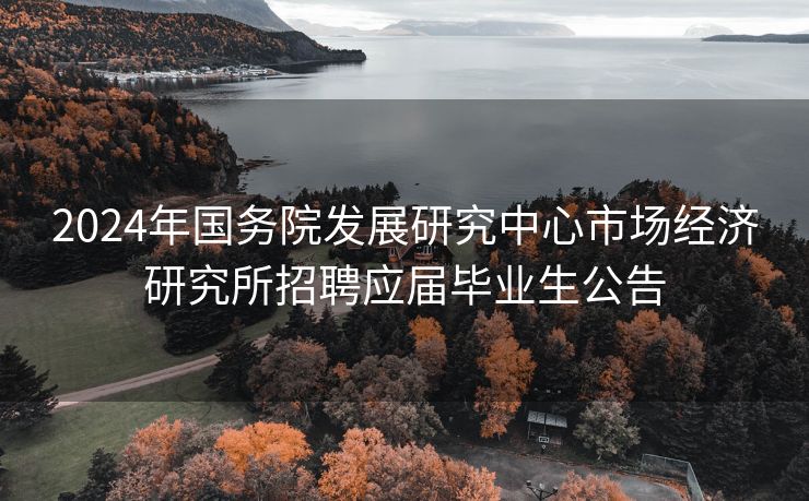 2024年国务院发展研究中心市场经济研究所招聘应届毕业生公告