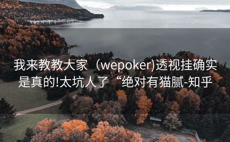 我来教教大家（wepoker)透视挂确实是真的!太坑人了“绝对有猫腻-知乎