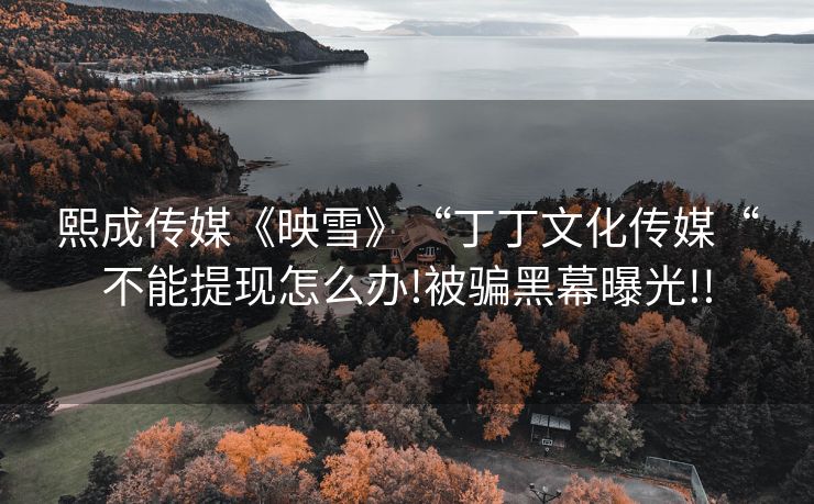 熙成传媒《映雪》“丁丁文化传媒“不能提现怎么办!被骗黑幕曝光!!