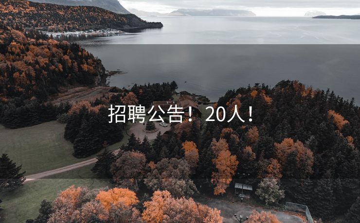 招聘公告！20人！