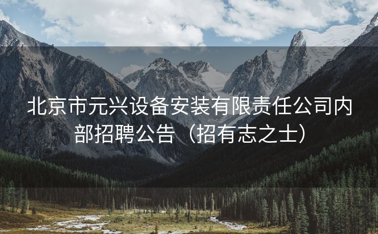 北京市元兴设备安装有限责任公司内部招聘公告（招有志之士）