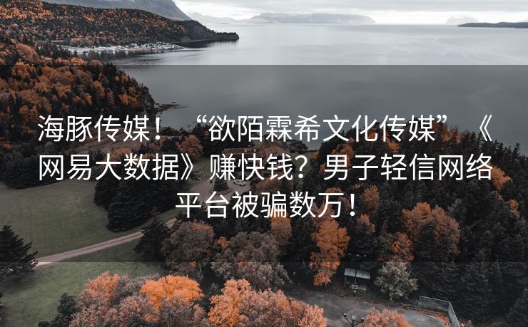 海豚传媒！“欲陌霖希文化传媒”《网易大数据》赚快钱？男子轻信网络平台被骗数万！