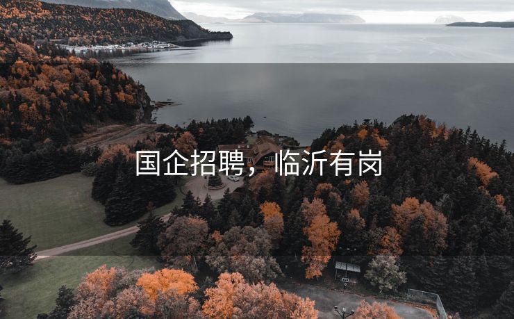 国企招聘，临沂有岗