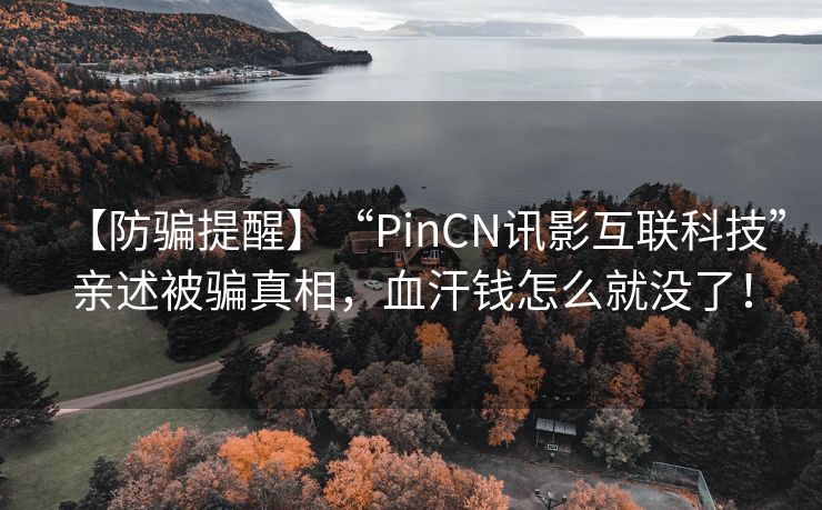 【防骗提醒】“PinCN讯影互联科技”亲述被骗真相，血汗钱怎么就没了！