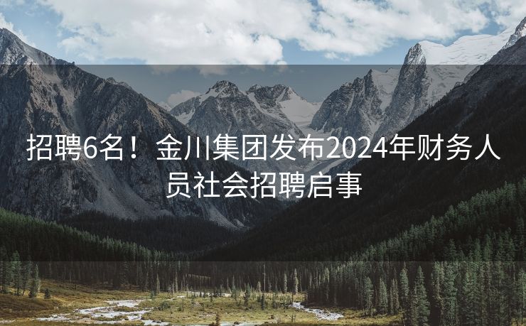 招聘6名！金川集团发布2024年财务人员社会招聘启事