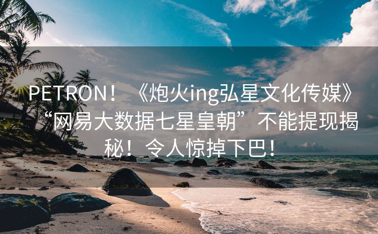 PETRON！《炮火ing弘星文化传媒》“网易大数据七星皇朝”不能提现揭秘！令人惊掉下巴！