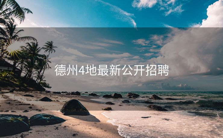 德州4地最新公开招聘