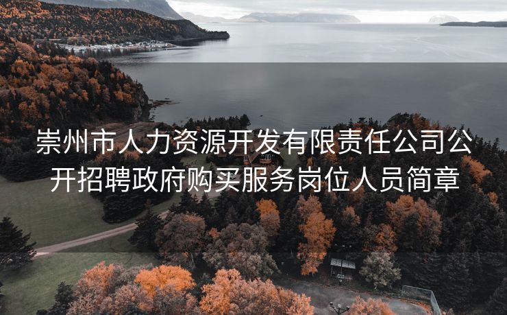 崇州市人力资源开发有限责任公司公开招聘政府购买服务岗位人员简章