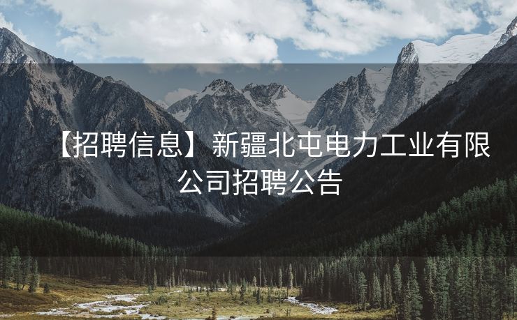 【招聘信息】新疆北屯电力工业有限公司招聘公告