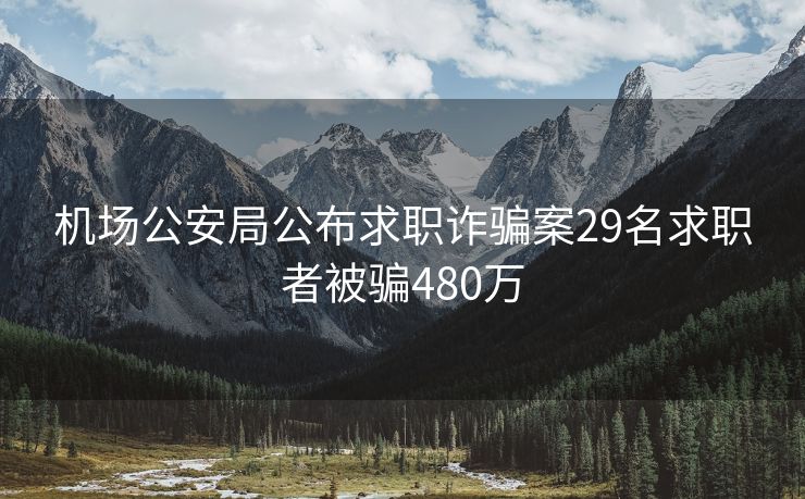 机场公安局公布求职诈骗案29名求职者被骗480万