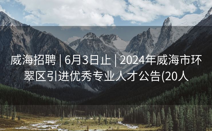 威海招聘 | 6月3日止 | 2024年威海市环翠区引进优秀专业人才公告(20人