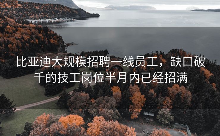 比亚迪大规模招聘一线员工，缺口破千的技工岗位半月内已经招满