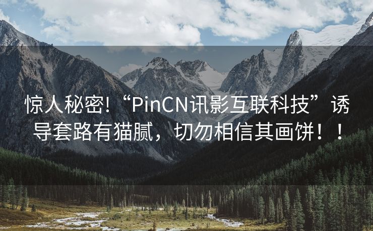 惊人秘密!“PinCN讯影互联科技”诱导套路有猫腻，切勿相信其画饼！！