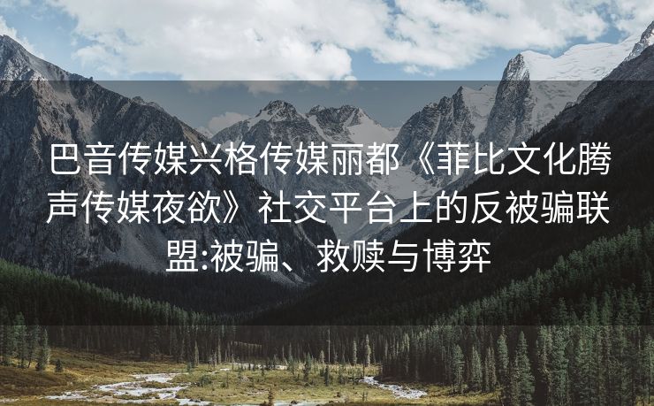 巴音传媒兴格传媒丽都《菲比文化腾声传媒夜欲》社交平台上的反被骗联盟:被骗、救赎与博弈