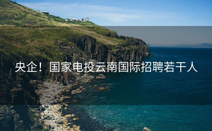 央企！国家电投云南国际招聘若干人