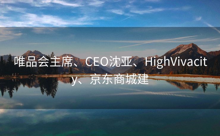 唯品会主席、CEO沈亚、HighVivacity、京东商城建
