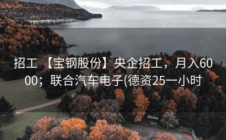 招工 【宝钢股份】央企招工，月入6000；联合汽车电子(德资25一小时