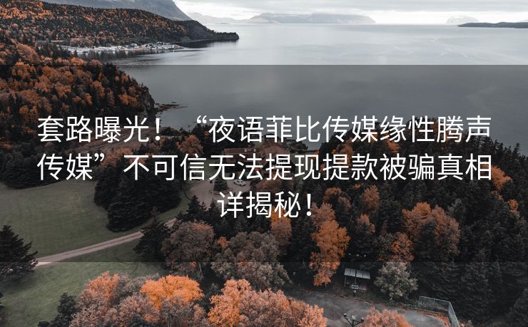 套路曝光！“夜语菲比传媒缘性腾声传媒”不可信无法提现提款被骗真相详揭秘！