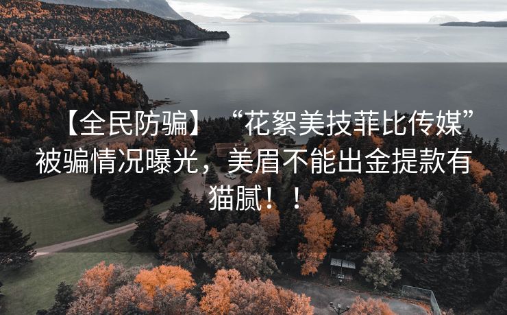 【全民防骗】“花絮美技菲比传媒”被骗情况曝光，美眉不能出金提款有猫腻！！