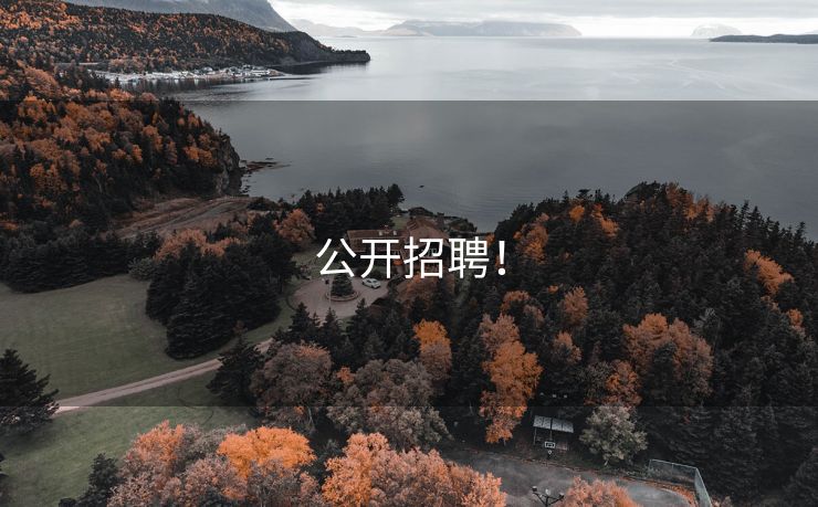 公开招聘！