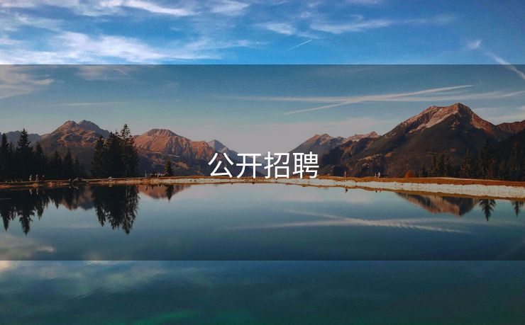 公开招聘