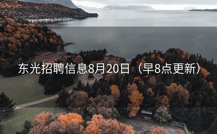东光招聘信息8月20日（早8点更新）